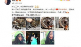 吃瓜一手料爆料,吃瓜群众一手料，带你走进娱乐圈幕后真相